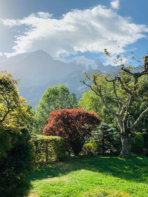 Avec Jardin Et Vue Panoramique Montblanc